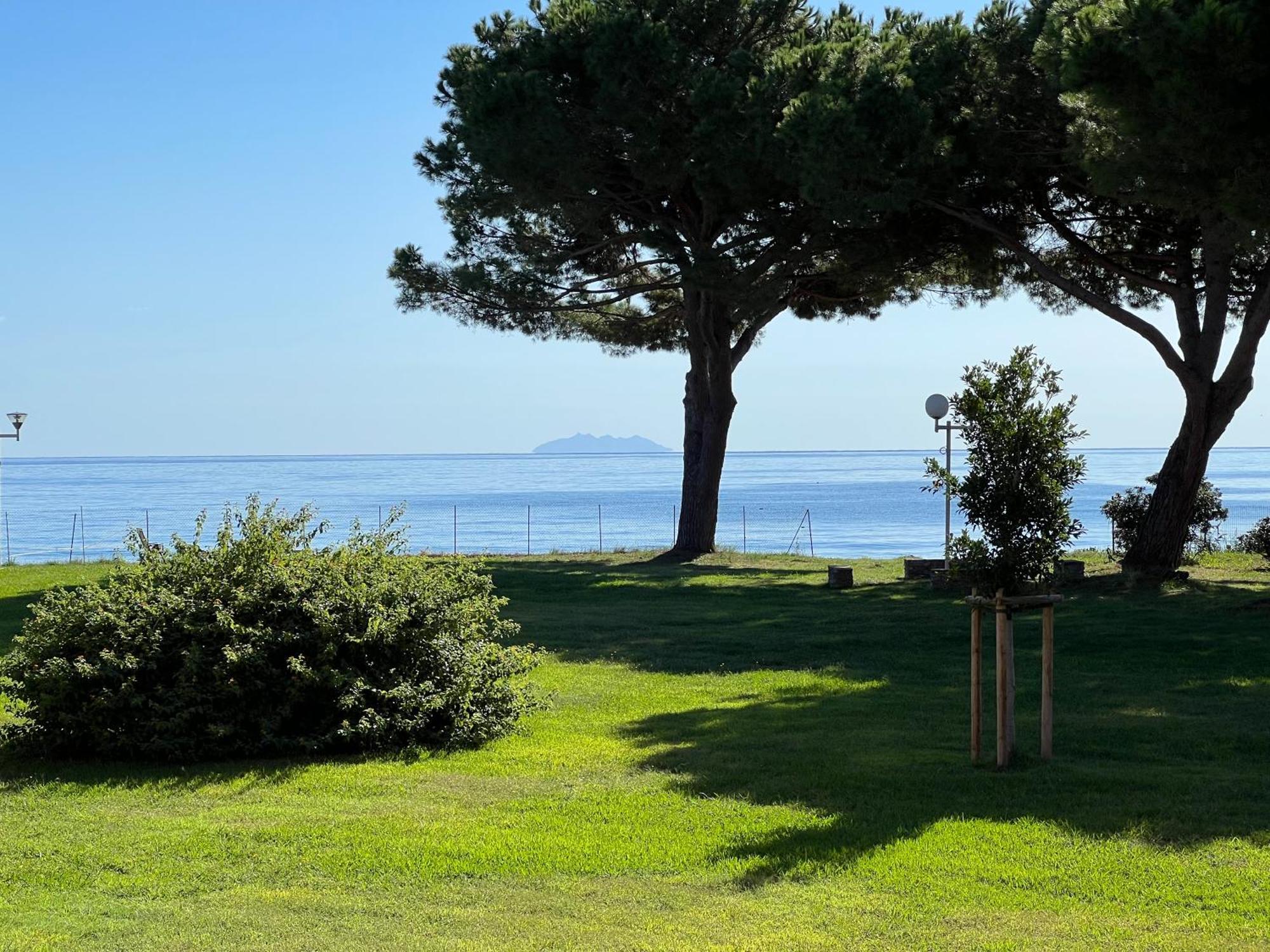 Appartement N 216 Moriani Plage Santa Lucia di Moriani Bagian luar foto