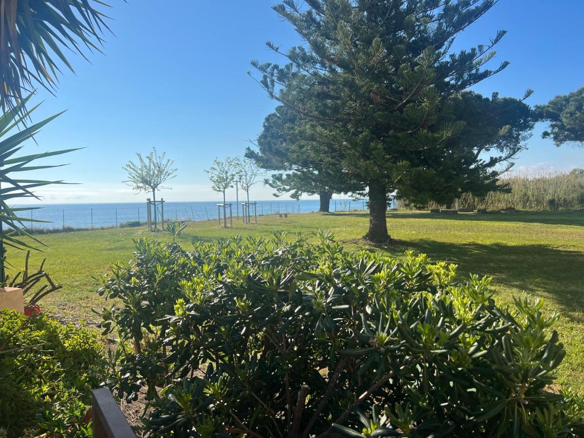 Appartement N 216 Moriani Plage Santa Lucia di Moriani Bagian luar foto